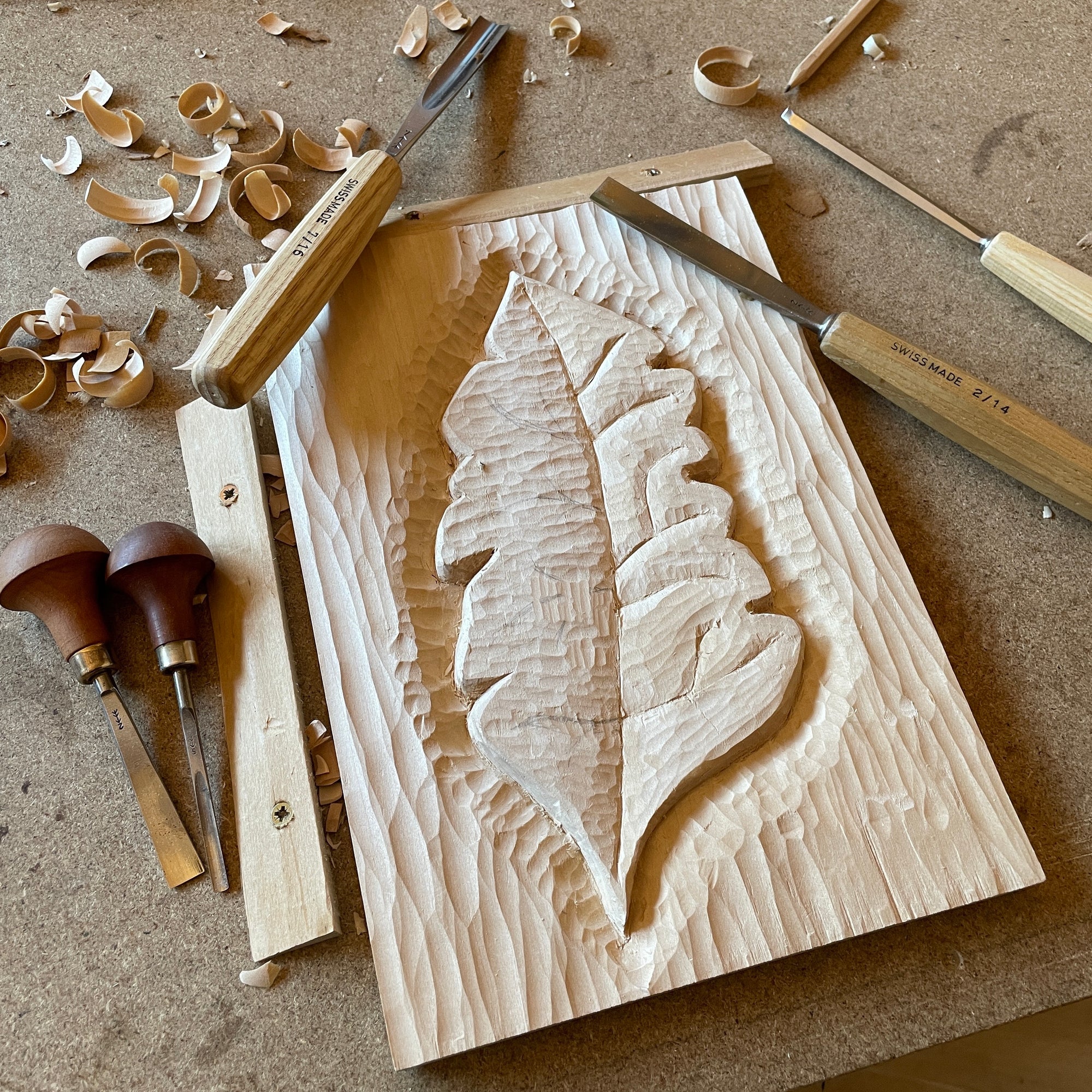 Workshops & Courses