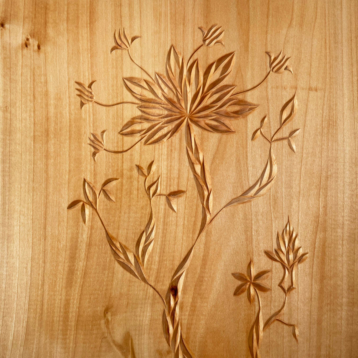 BoP 1 i Bop 2 + Transfer Marker